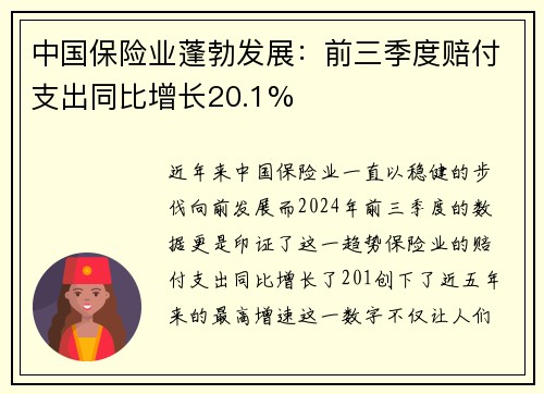 中国保险业蓬勃发展：前三季度赔付支出同比增长20.1%